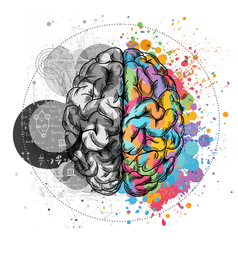 brain